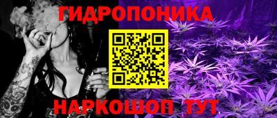 прущие крисы Новокубанск