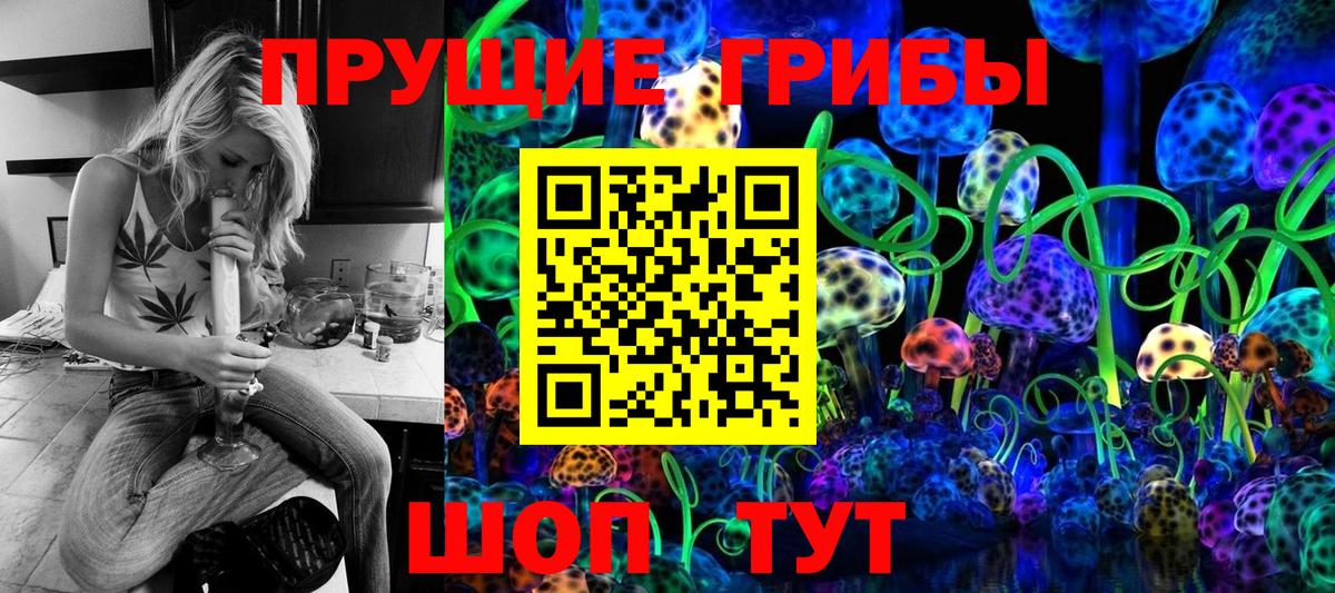 Галлюциногенные грибы MAGIC MUSHROOMS Чайковский