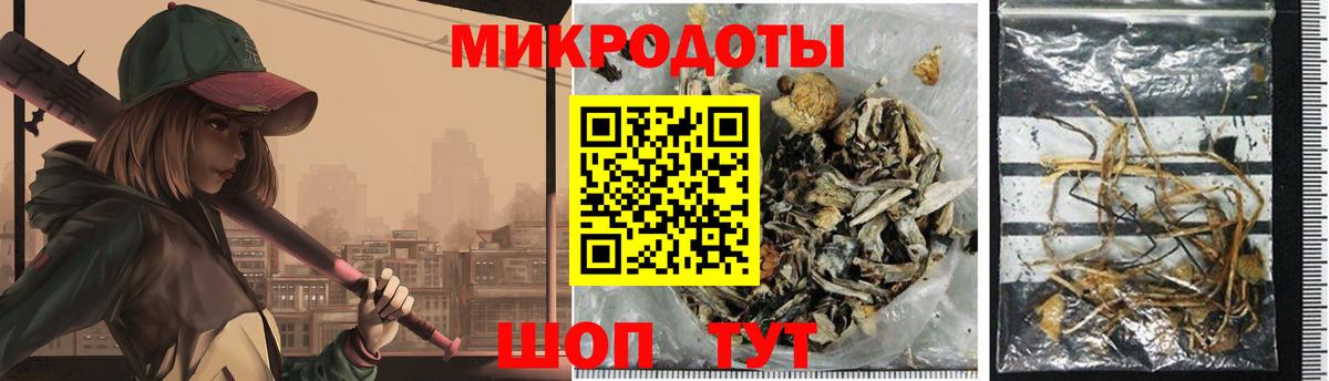 Чайковский  Псилоцибиновые грибы ЛСД  Вход с VPN  Галлюциногенные грибы Cubensis 